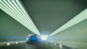 Скотный двор Animal Farm SDR