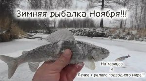 ЗИМНЯЯ РЕЛАКСИРУЮЩАЯ РЫБАЛКА ПОДВОДНОГО МИРА 2025-2026!!! НА Хариуса и Ленка!!!