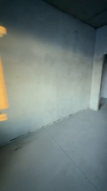 Video5339158735686242240