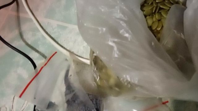 и снова мой оздоровительный очистительный завтрак смотреть онлайн