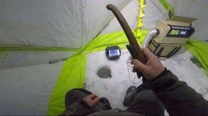 Рыбалка на реке. Налим на зимнюю удочку.