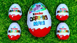 Увлекательное видео. Большие Киндеры - Макси и Сюрпризы. Угадывайте что я буду пробовать