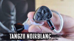 Обзор наушников Tangzu Noirblanc: лучшие среди равных