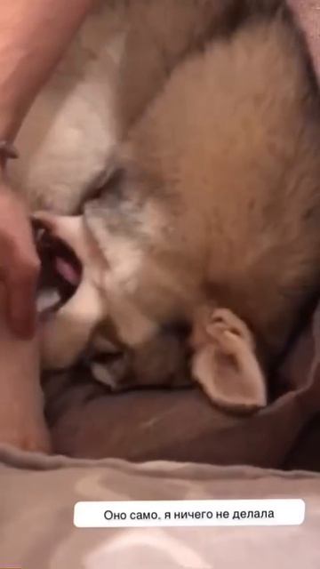 Художник смотреть онлайн