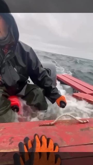 Рыбаки закрывают водно-моторный сезон на Волге в декабре. Главное не унывать!. смотреть онлайн