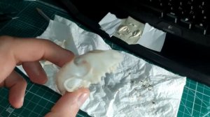 Череп Куницы, как сделать сувенирное изделие, обработка кости,