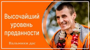 Высочайший уровень преданности