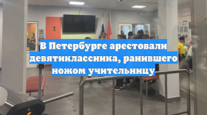 В Петербурге арестовали девятиклассника, ранившего ножом учительницу
