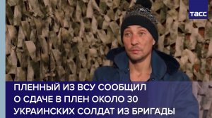 Пленный из ВСУ сообщил о сдаче в плен около 30 украинских солдат из бригады