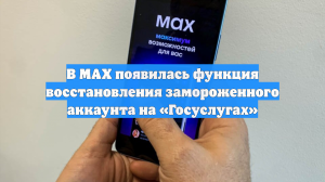 В MAX появилась функция восстановления замороженного аккаунта на «Госуслугах»