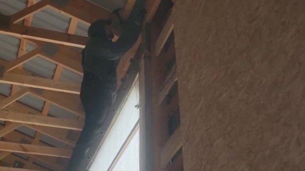 #336 Cheap & Easy DIY Shop Door 6.11.2025