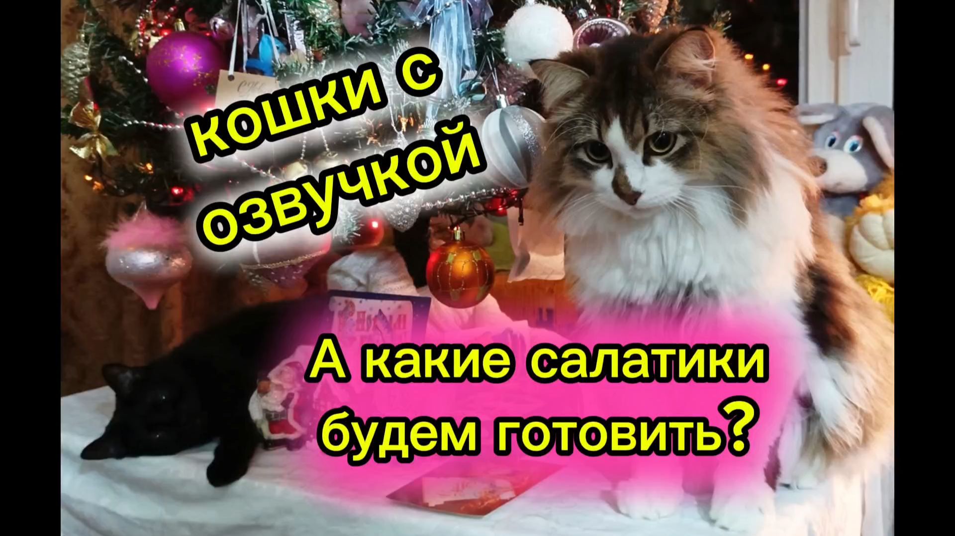Кошки с озвучкой. Новогодние котики. смотреть онлайн