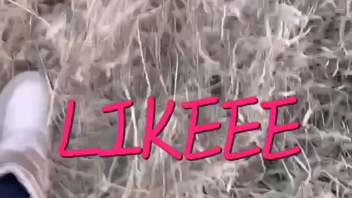 Likeee смотреть онлайн