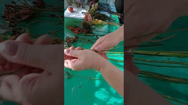 22 сентября 2024 г. Стабилизирую растения для букетов из сухоцветов.