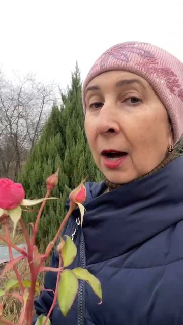 Обрываете листики?