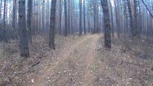 Последний житель деревни БЕЛОРАМИНО, республика Мордовия