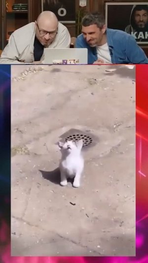 ЗАСМЕЯЛСЯ - ПОДПИСАЛСЯ! №44