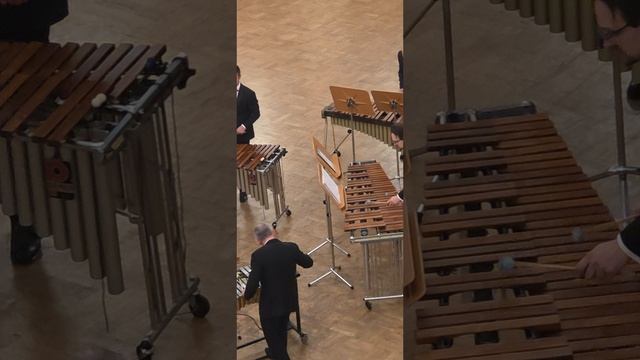 Концерт ансамбля MarimbaMix. Часть 17.