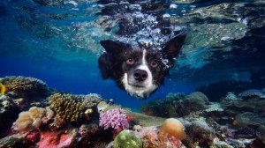 Мультики для детей . Развлекашки для детей . Развлекательный канал