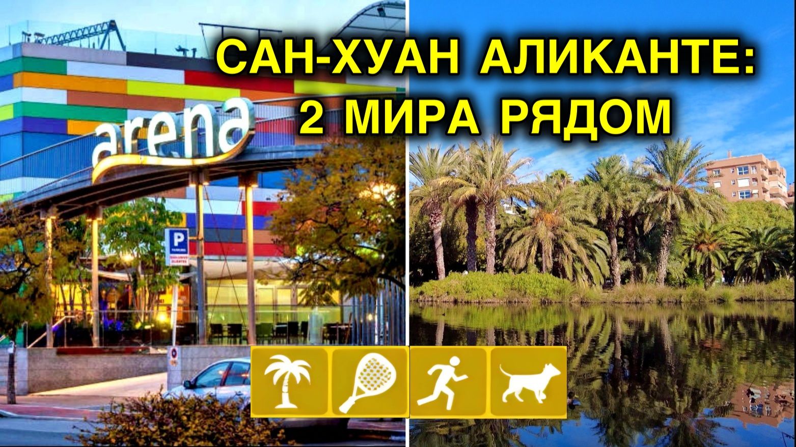Где гулять в Сан-Хуане?/Оазис среди бетона: Парки и Арена/Спорт премиум-класса в Аликанте