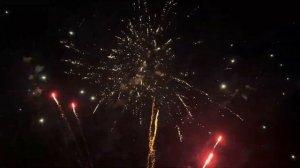 Видео перед производством TKB922 0,8 inch 100 shots in W shape, H150