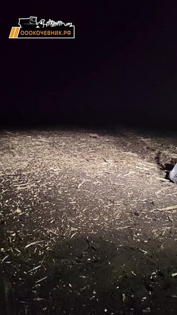 🌱Вести с полей, где сейчас работают наши парни смотреть онлайн