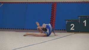 художественная гимнастика !