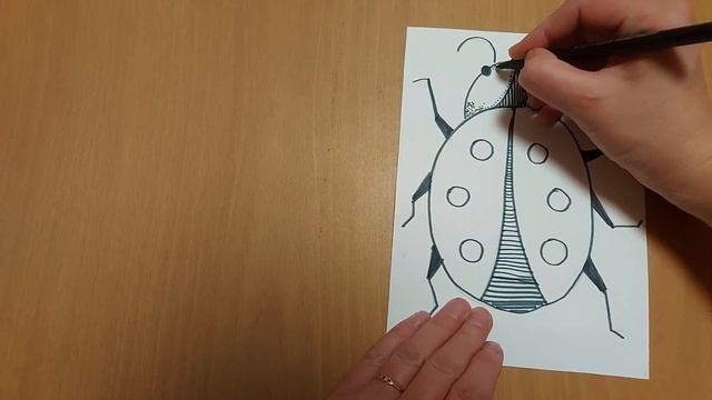 Основы рисования. Графика. смотреть онлайн