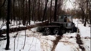 Вытащить берёзу из леса