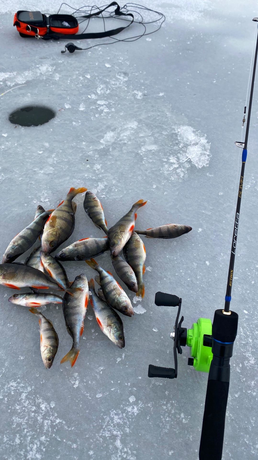 ПЕРВЫЙ ЛЁД 2025 -2026!#рыбалка #fishing #отдыхнаприроде #трофейнаярыбалка #узлы #зимняярыбалка смотреть онлайн