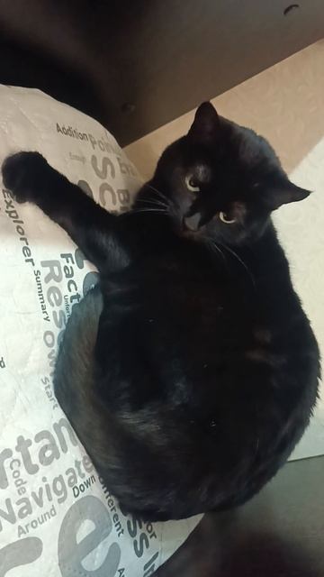 1000055609.mp4 смотреть онлайн