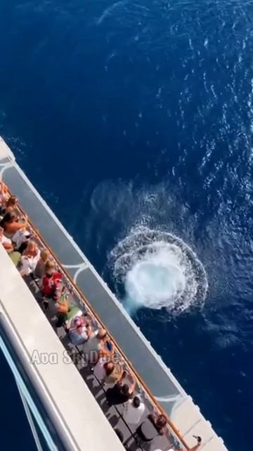 Прыжок с круизного лайнера смотреть онлайн