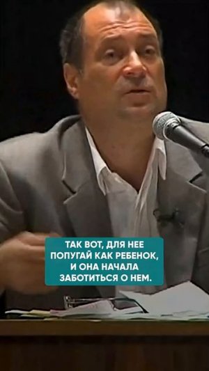 ЛЕКАРСТВО ОТ БЕЗДЕТНОСТИ #бесплодие #женскоездоровье