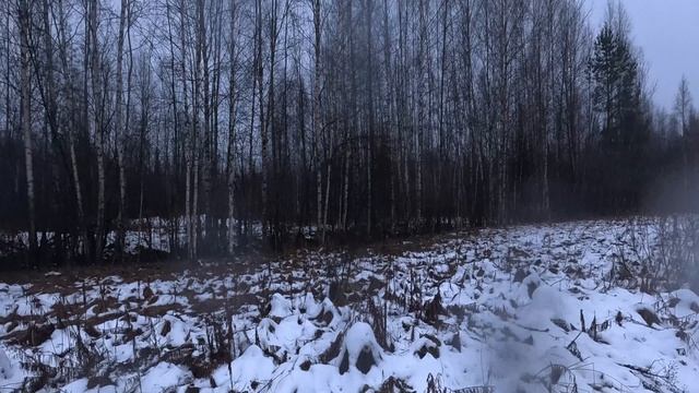 Охота на зайца с р.г. 07.12.25 смотреть онлайн