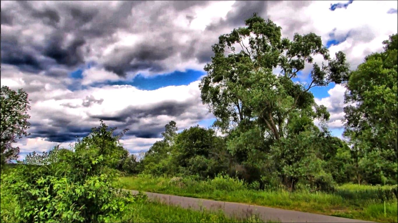 У дороги смотреть онлайн