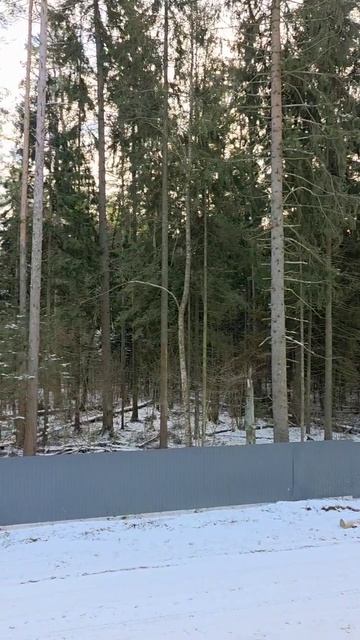 Document_5341601837638256040