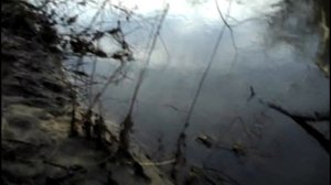 установка капканов на норку, как поймать норку? КАПКАН НА НОРКУ