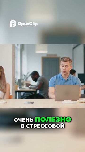 Ашваганда, брахми и трифала: три травы для энергии, ума и спокойствия