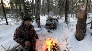 Охота в разгаре. Лоси на солонце. Попала россамаха. Соболь добыт.