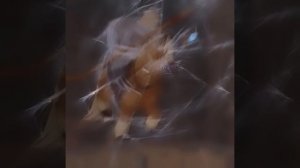 эдит три богатыря