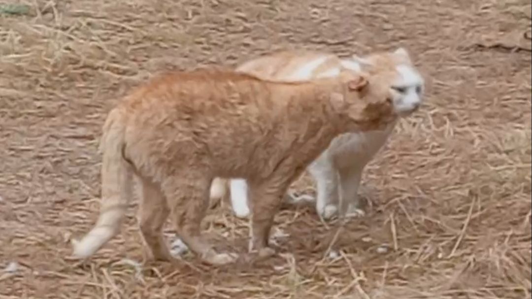 КРАСИВО УШЁЛ смотреть онлайн