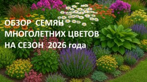 Обзор и распаковка семян многолетних цветов на сезон 2026 года.
