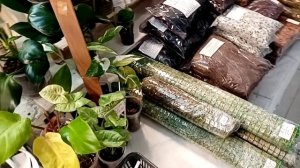 Выставка в Новороссийске. ТЦ Бон Пассаж, 6-7 декабря. Часть 1.