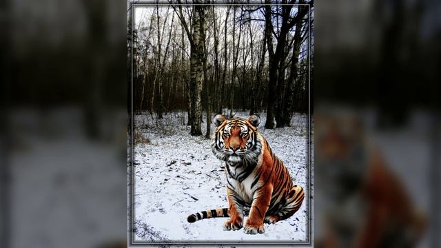 16122025 Декабрь