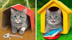 Крошечный котенок спасен и обрел свой дом