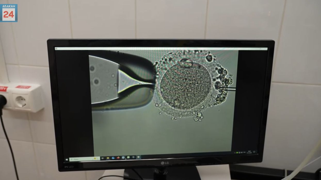 250 малышей появились на свет в этом году в Хакасии благодаря ЭКО смотреть онлайн