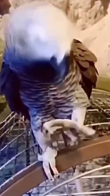 Сам себя не похвалишь.. смотреть онлайн