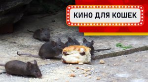 Видео для кошек - Мышиное гнездо (Развлеки своего кота)