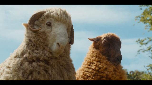 Овечий детектив (2026) The Sheep Detectives смотреть онлайн