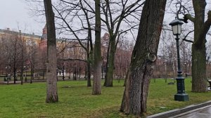 HONOR 400 Pro Видео №2 4K 30 FPS